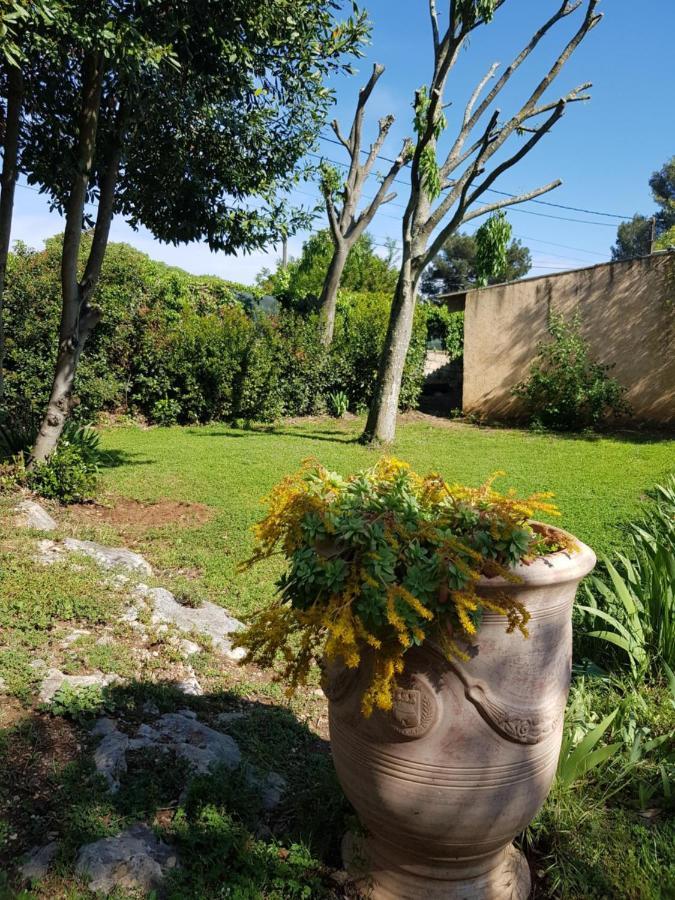 Cap Au Sud Sweet Home Nîmes Buitenkant foto