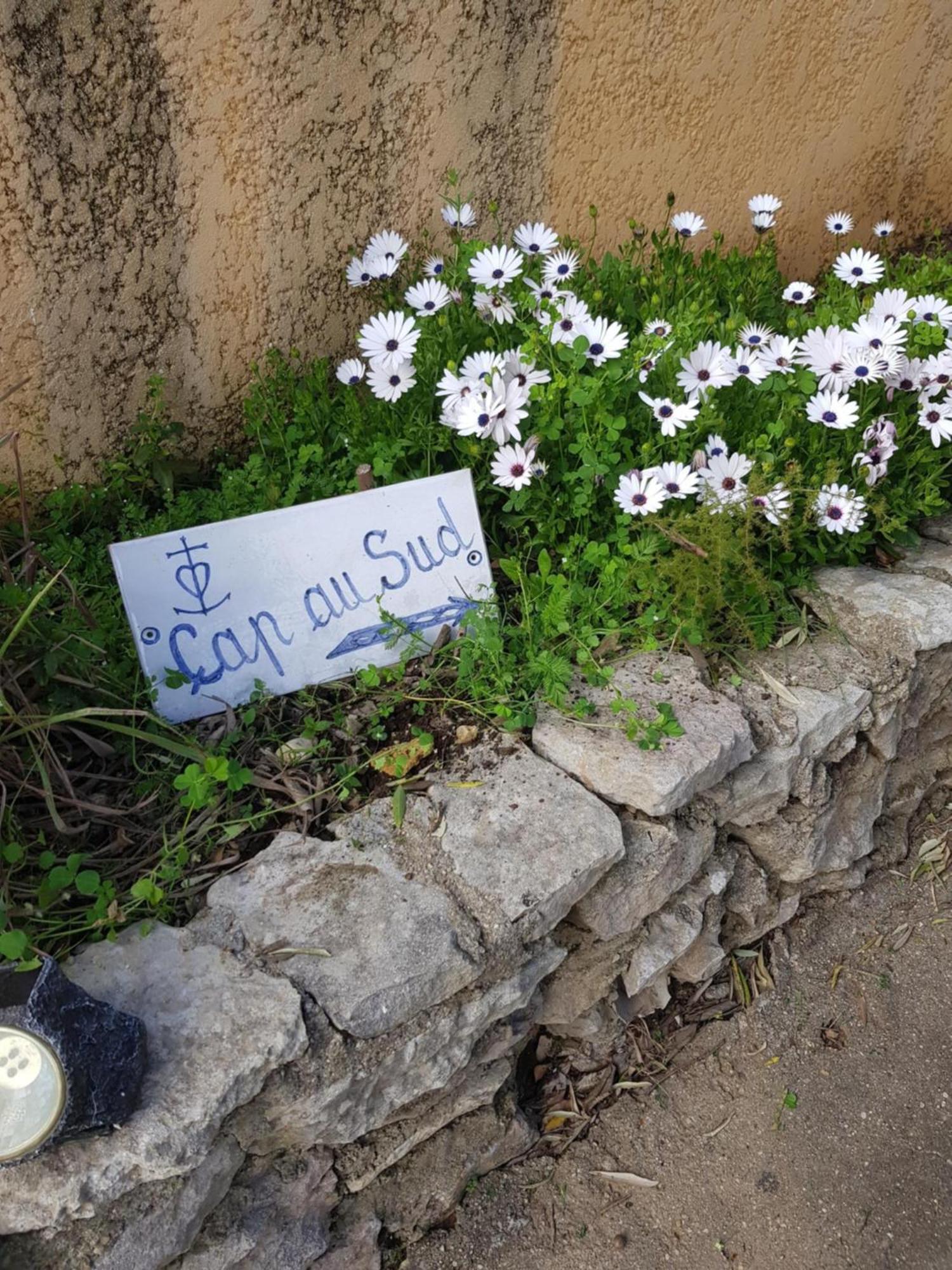 Cap Au Sud Sweet Home Nîmes Buitenkant foto