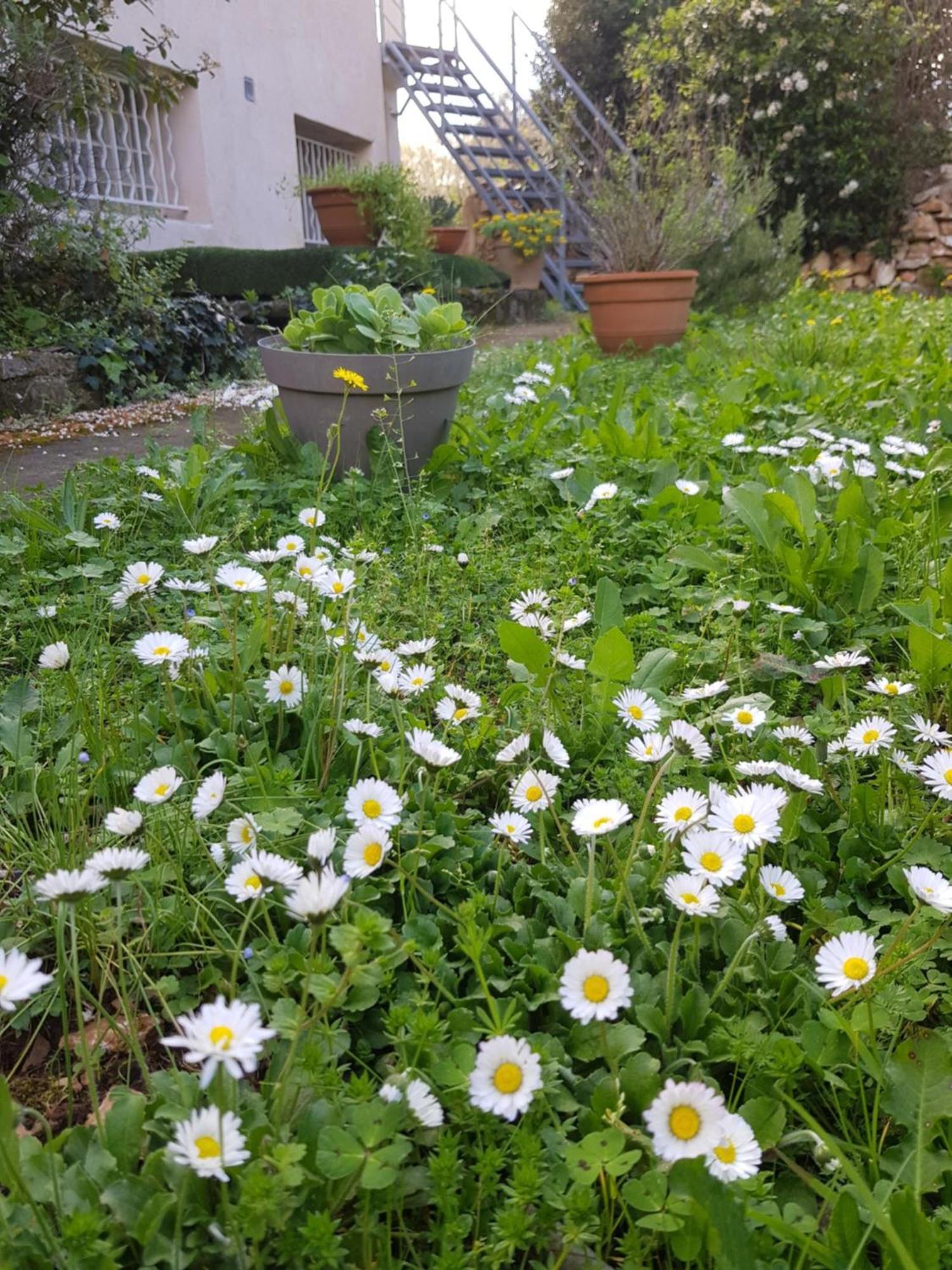 Cap Au Sud Sweet Home Nîmes Buitenkant foto