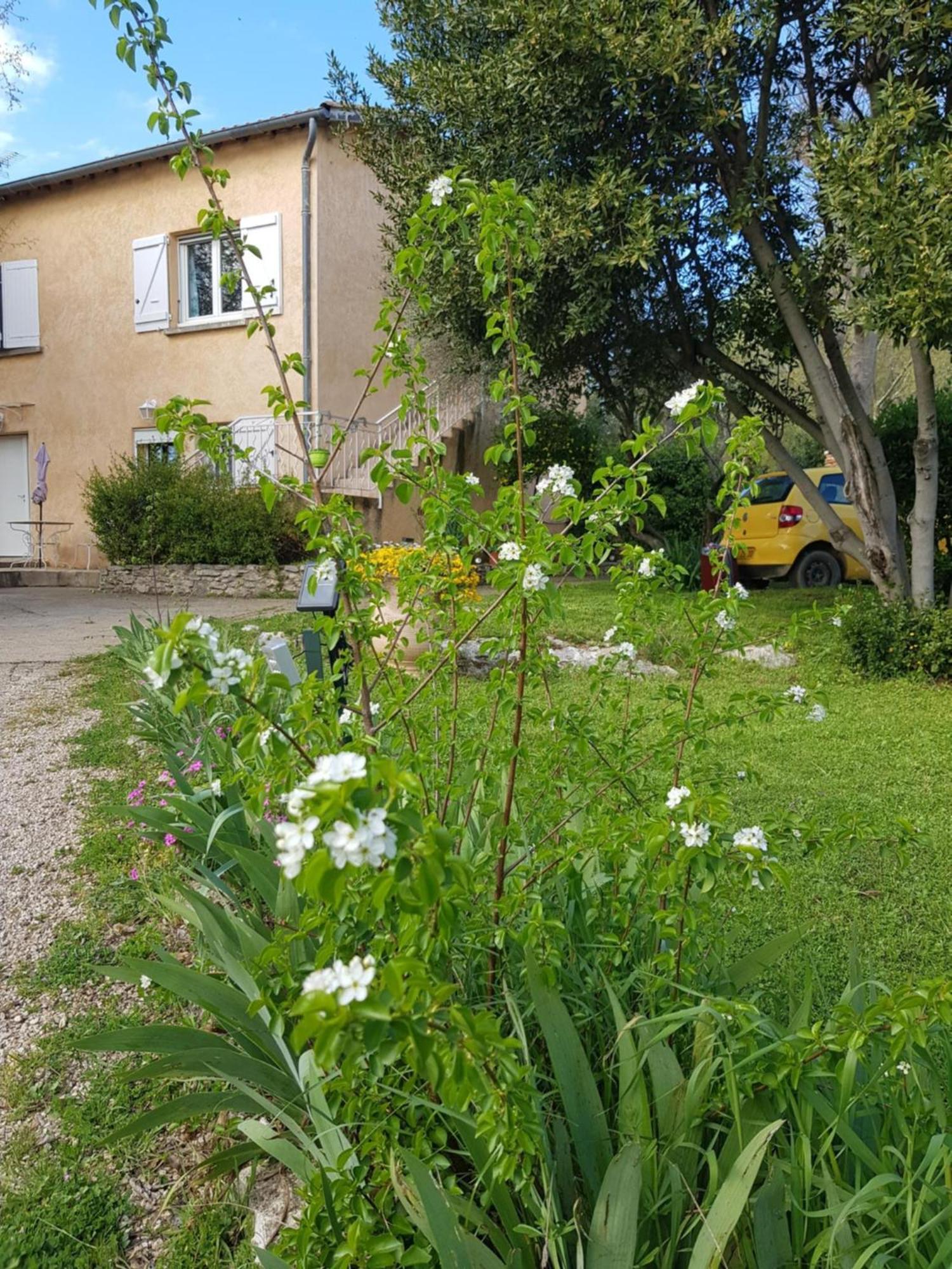 Cap Au Sud Sweet Home Nîmes Buitenkant foto