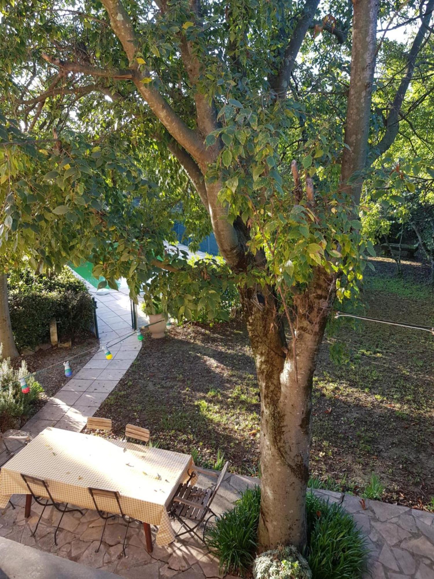 Cap Au Sud Sweet Home Nîmes Buitenkant foto