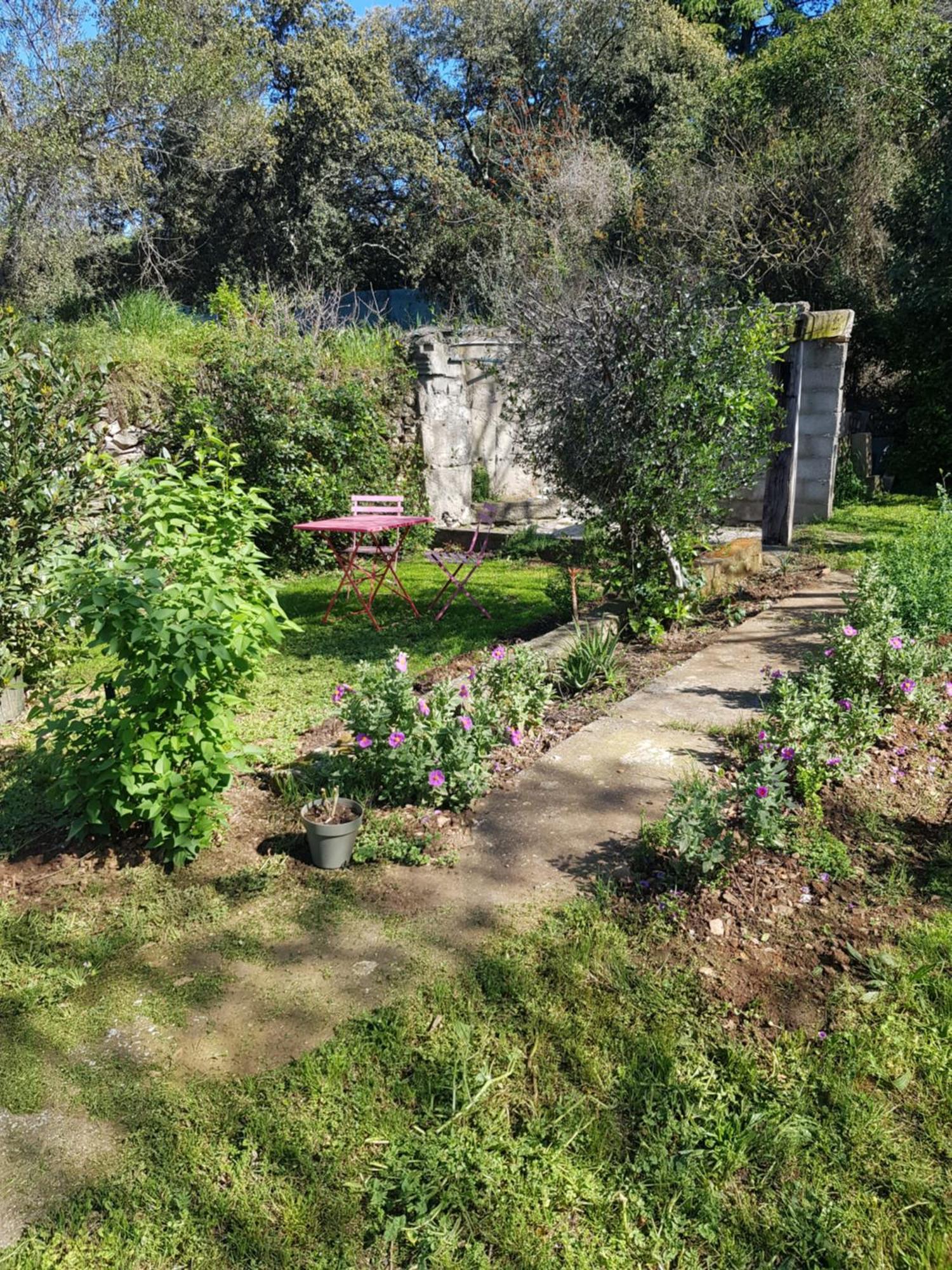 Cap Au Sud Sweet Home Nîmes Buitenkant foto